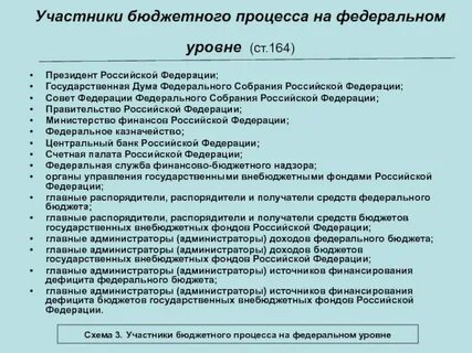 Государственные муниципальные учреждения участниками бюджетного процесса