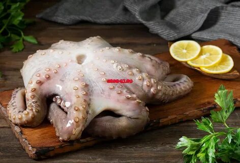 Осьминог замороженный