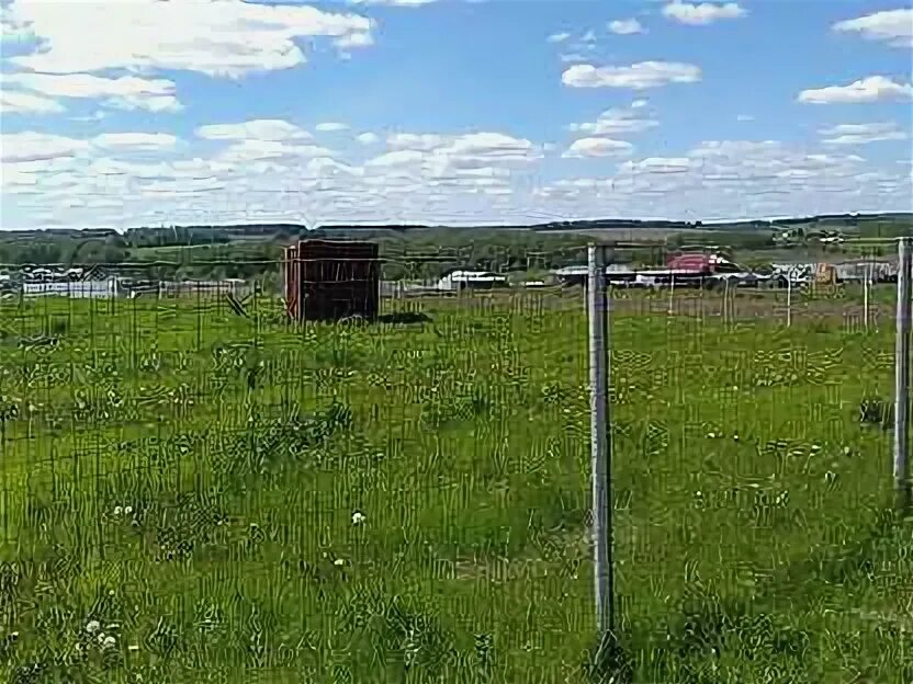 Большие ковали