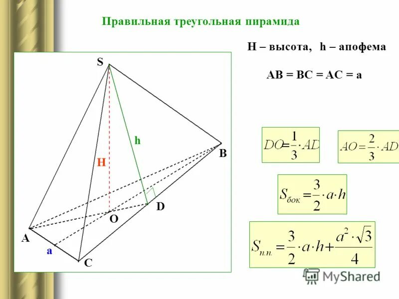 Апофема треугольной пирамиды.