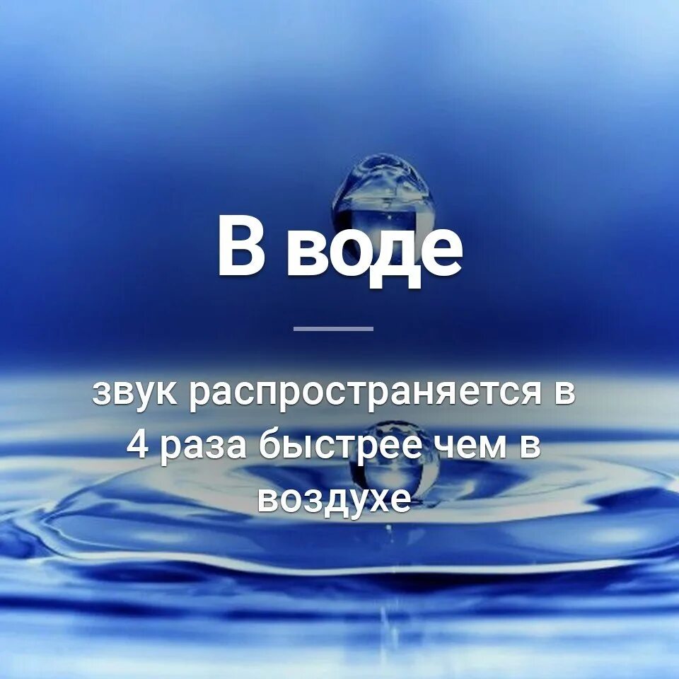 В воде звуки распространяются быстрее. Звук воды. Звук по воде. Распространение звука в воде. Распространение звука под водой.