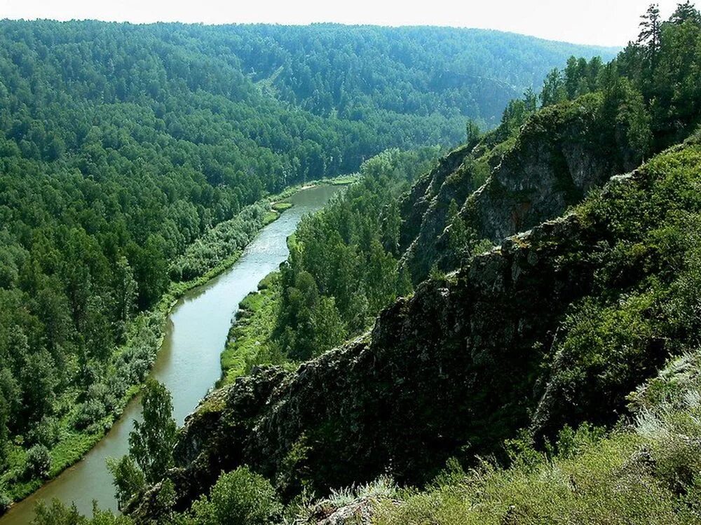 Бердские скалы Новосибирская область. Гора зверобой Бердские скалы. Новососедово Бердские скалы. Бердские скалы (зверобой) Новосибирск. Природные достопримечательности новосибирска