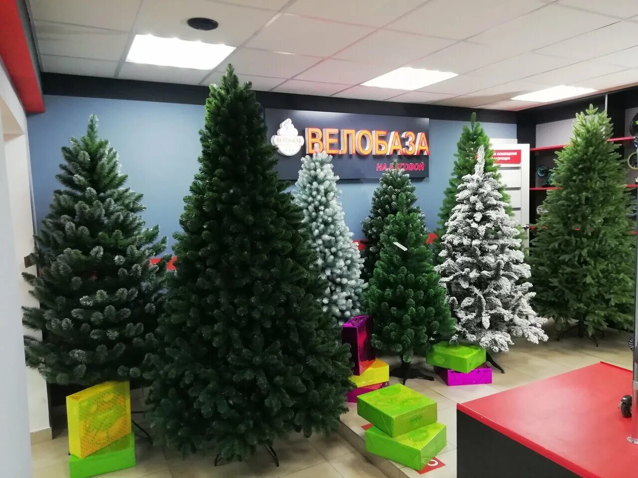 Новый год площадь ленина воронеж ярмарка. Маркет елка текучева 95. Маркет елка воронеж. Маркет елка воронеж. Воронежская елка 2022.