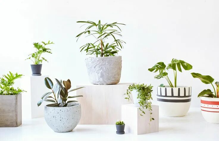 2 Pcs/Lot Wall Hanging Plant Pot - Mavigadget