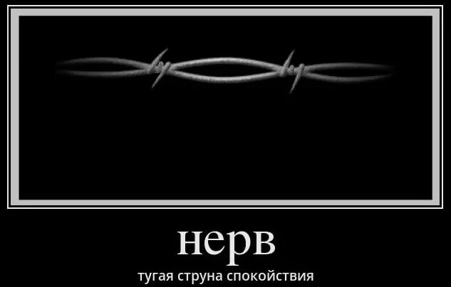 Мои нервы как хрусталь. Мои нервы как хрусталь