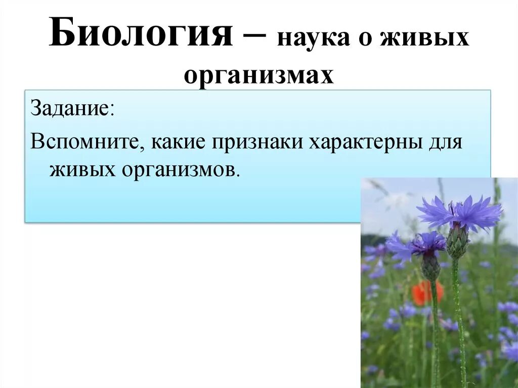 Какие свойства характерны живым организмам. Признаки живых организмов биология. Биология наука о живых организмах. Что характерно для живых организмов. Какие признаки характерны для живых организмов.