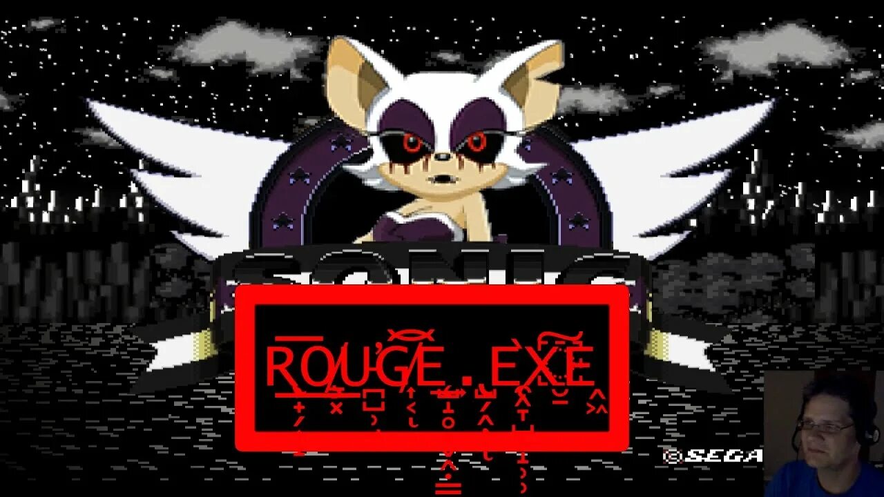 Https exe. Руж ехе. Летучая мышь Руж ехе. Rouge the bat exe. Sonic rouge exe.
