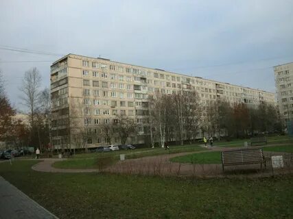 Купчино гашека