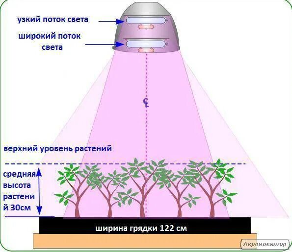 Освещение в люксах для растений. Схема освещенности для растений. Освещение в теплицу для растений. Световой поток для рассады.