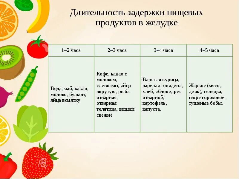 Через какое время перевариться. Время переваривания пищи. длительность задержки продуктов в желудке. нахождение пищи в желудке. сколько переваривается пища в желудке.