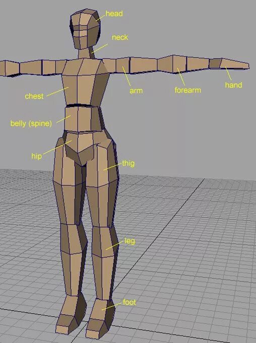 Создание модели для анимации. Чертежи людей для 3d моделирования. низкополигональная модель человека. модель человека в maya. человек чертеж для моделирования.