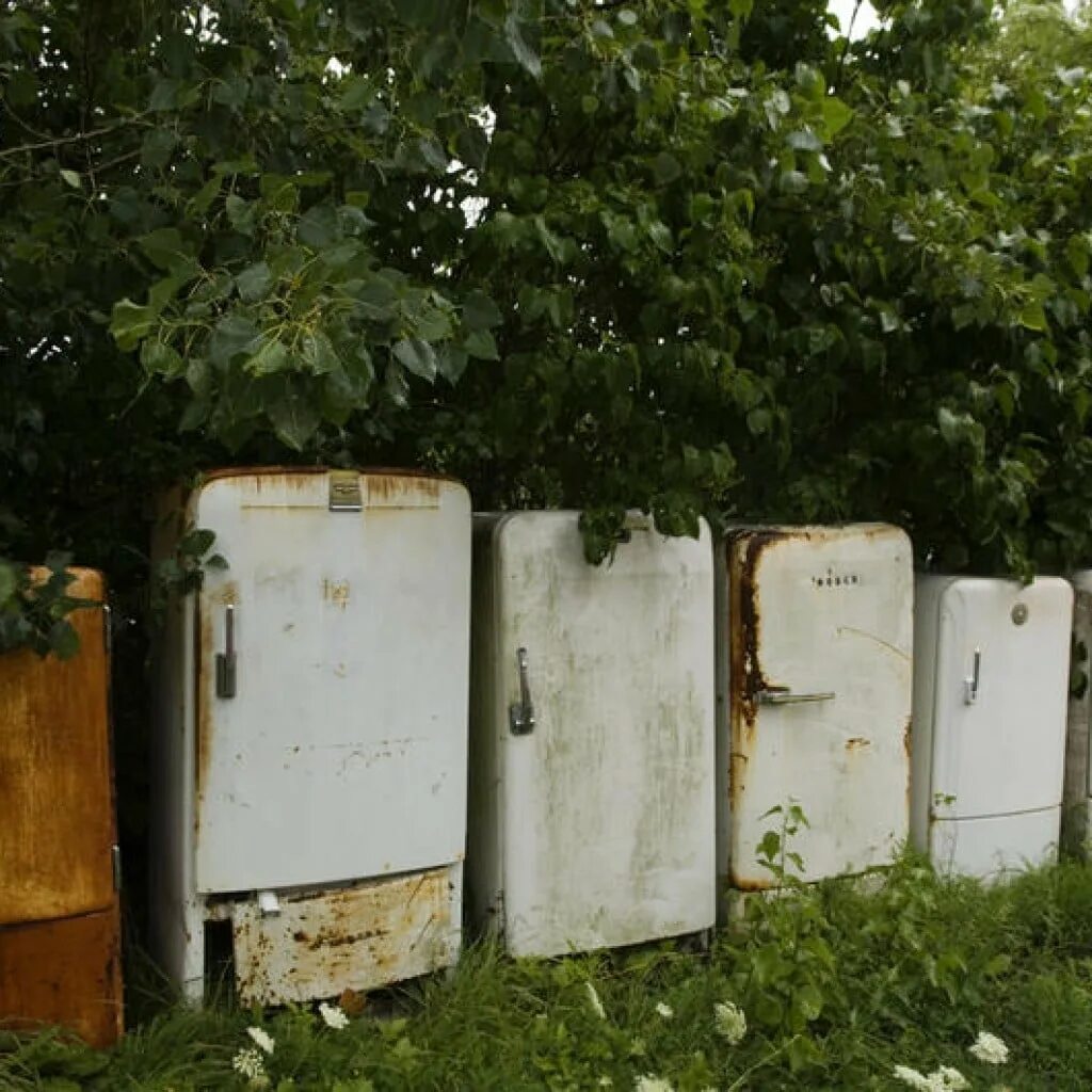 Вывоз старых холодильников. Выкуп старый холодильник. Выкуп холодильников. Скупка нерабочих холодильников. Холодильник на мусорке.