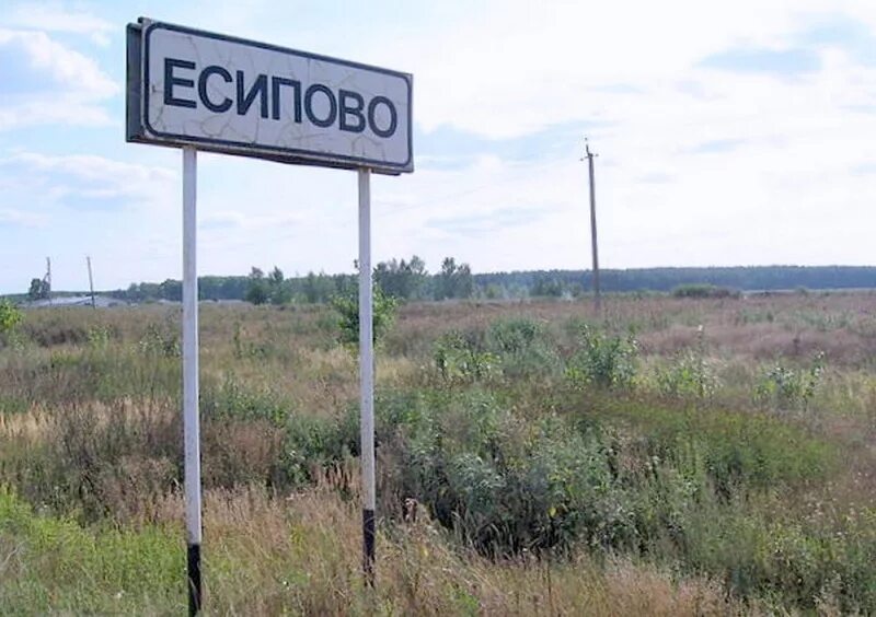 Есипово воронежская область. Есипово воронежская область. Погода на завтра есипово воронежская область. Есипово воронежская область. Есипово воронежская область.