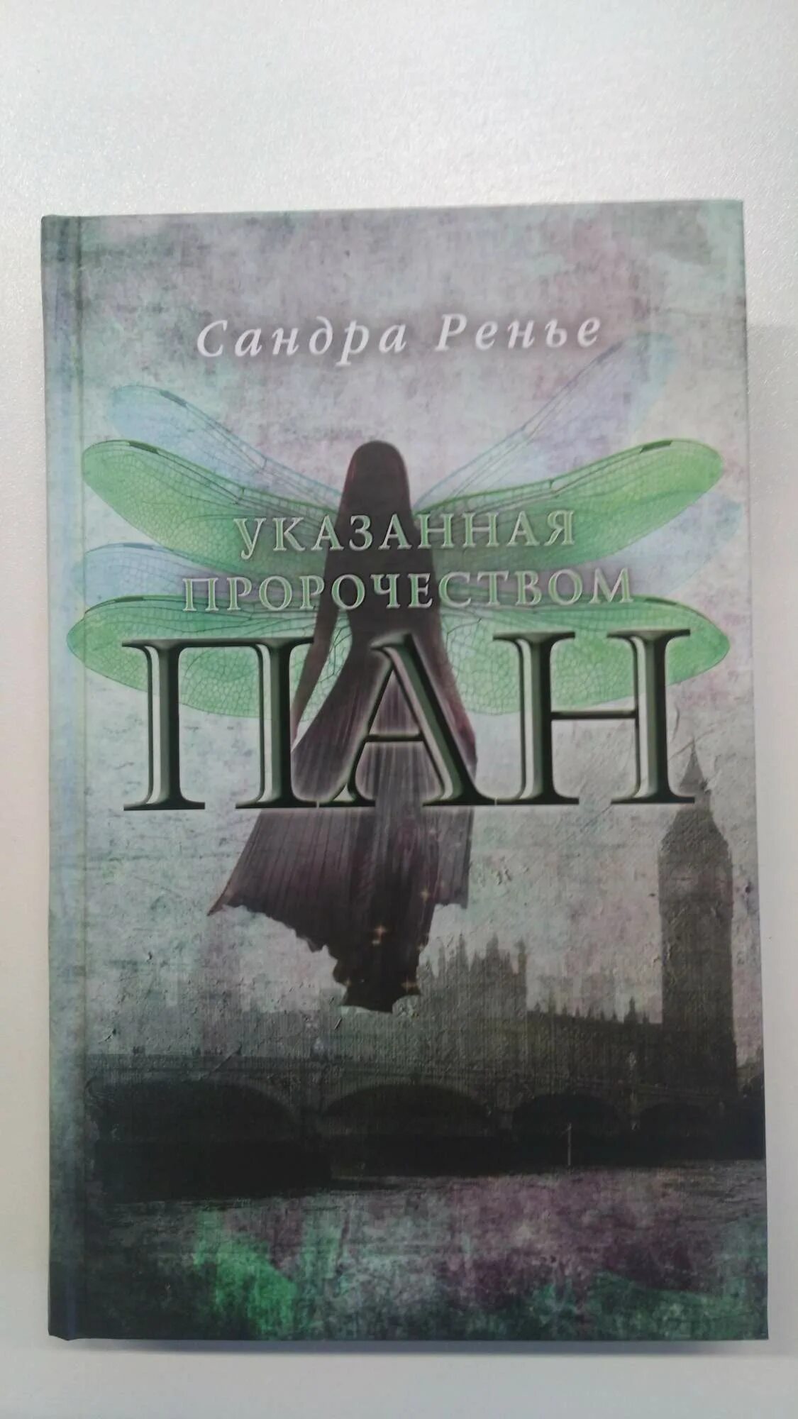 Читать книгу пан. Пан. Указанная пророчеством. Указанная пророчеством книга.