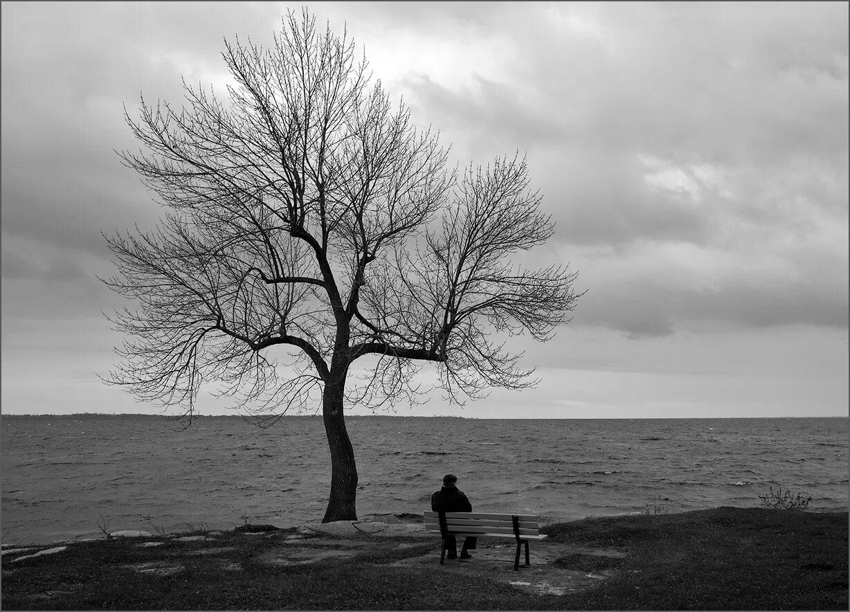 Обманчивая тишина. Это одиночество. Грустное дерево. Одиночество картинки. Мрачное одинокое дерево.