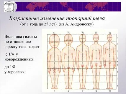 Изменение размеров тела его пропорций телосложения