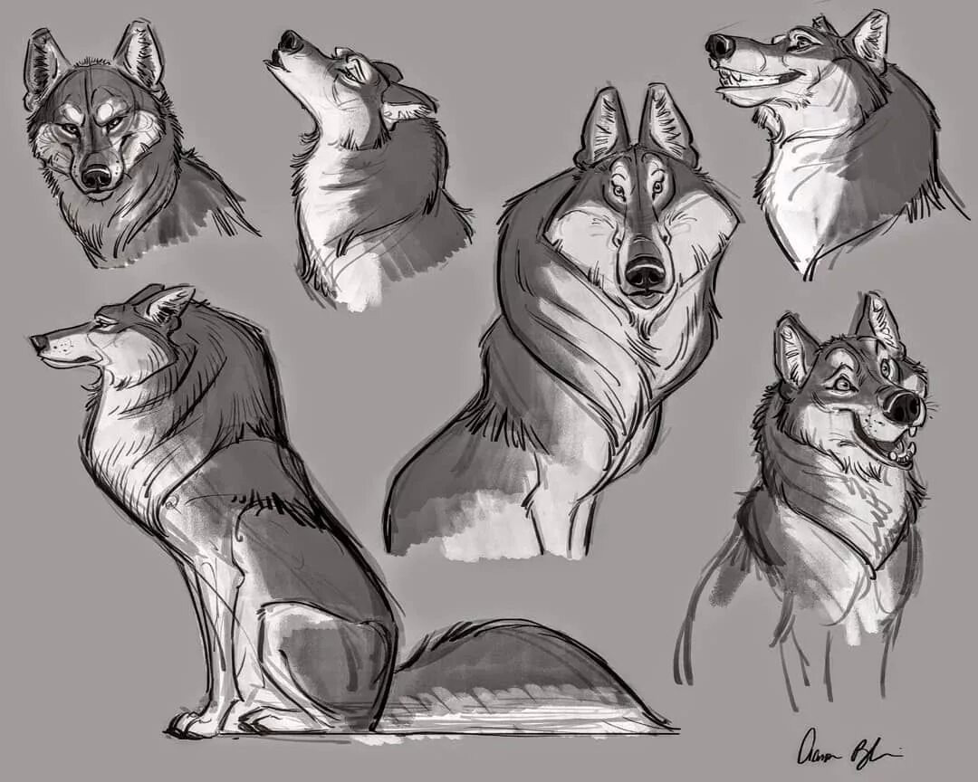 How to wolf. Wolf aaron blaise. референс волков. реферанс персонаж волка. волк в профиль референс.