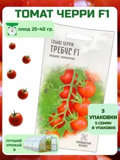 Томат от юрия отзывы
