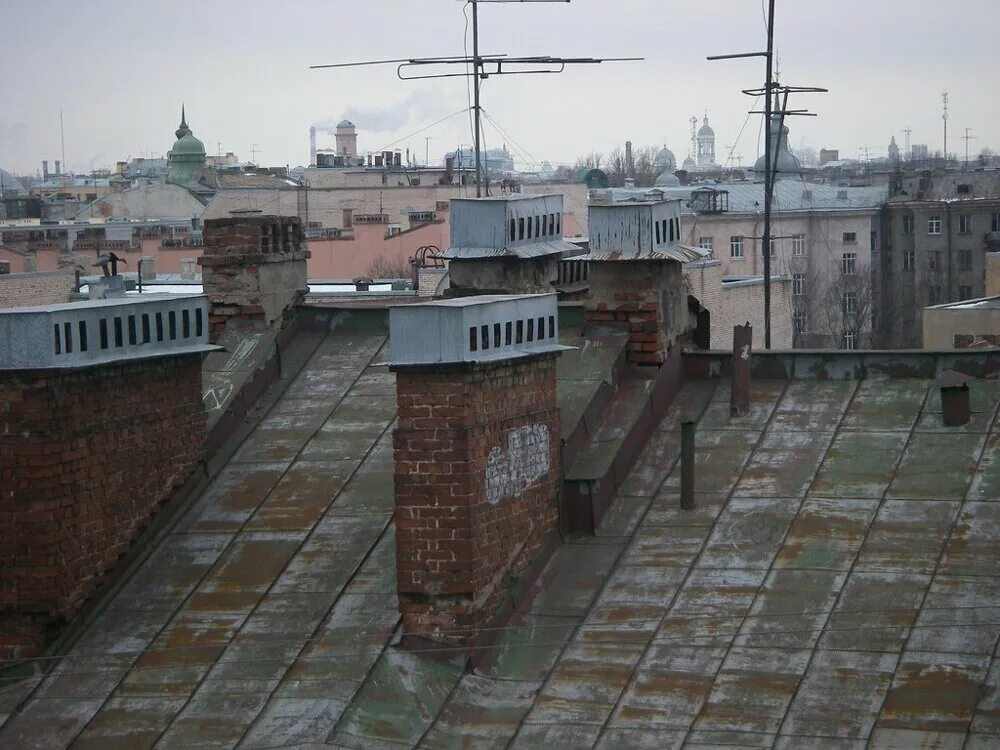 Кто живет на крыше. Крыши Санкт-Петербурга. Крыши Питера. Ржавые крыши Петербурга. Старые крыши Питера.
