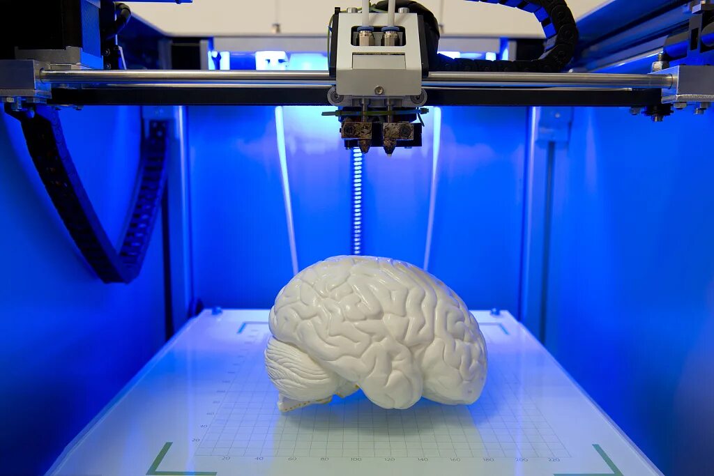Brain model. 3d принтер SLT. 3d-принтер Refabricator. 3d принтер k10. 3d-принтер модель z402.
