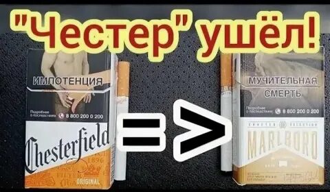 Акция честерфилд деньги на телефон