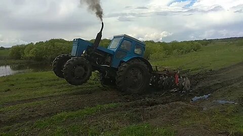 Выкорчивать