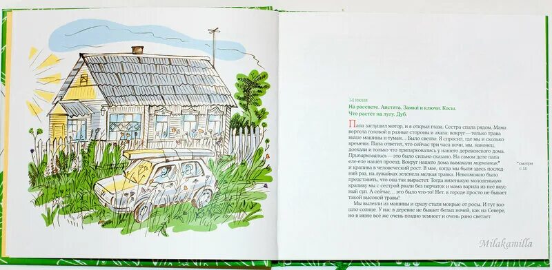 Лето в деревне детская книга. Зина сурова книги. Книги лето в деревне. Лето в деревне книга. Книги лето в деревне.