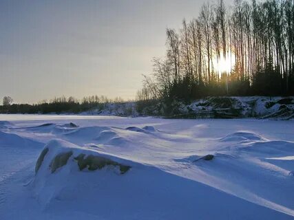 Корж холодное утро