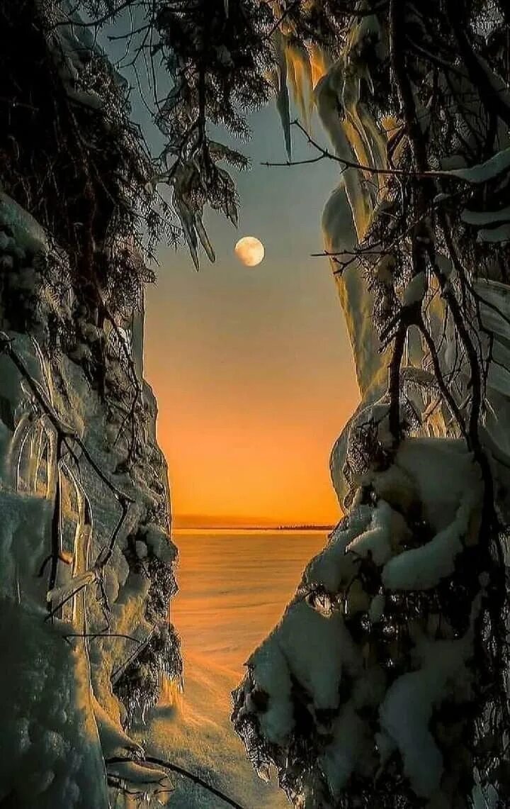 Седая ночь полностью. Луна в лесу. Красота зимы картинки. Седая ночь пейзаж. Седая ночь картинки.