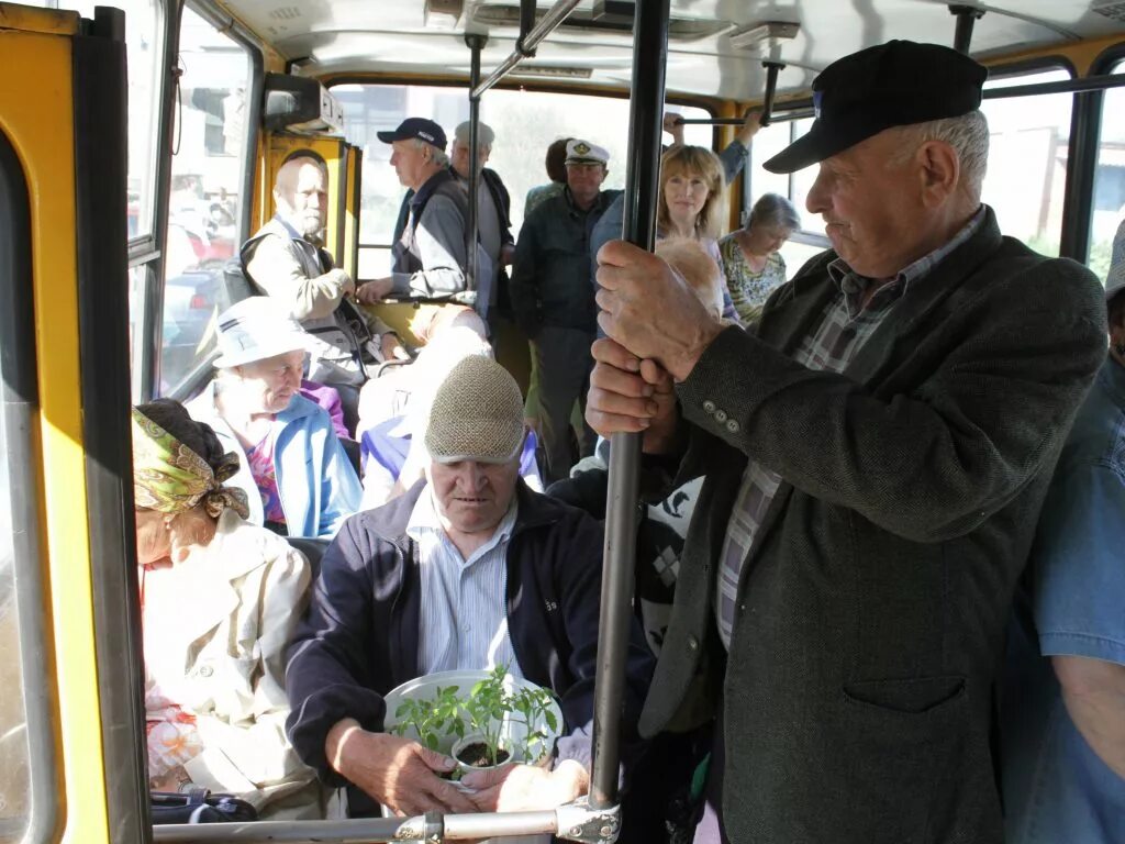 Дачники в автобусе. Дачный автобус. Старик в автобусе. В автобусе пенсионеры с рассадой. Когда пустят дачные автобусы в 2024 году