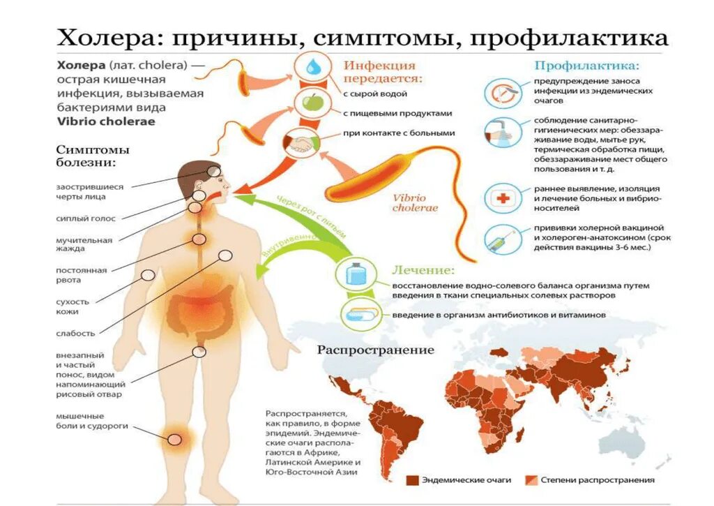 Заражение воды холерой в россии 2024. Схема заражения холерой. Холера возбудитель симптомы. Холера симптомы причины. Признаки заражения холерой.