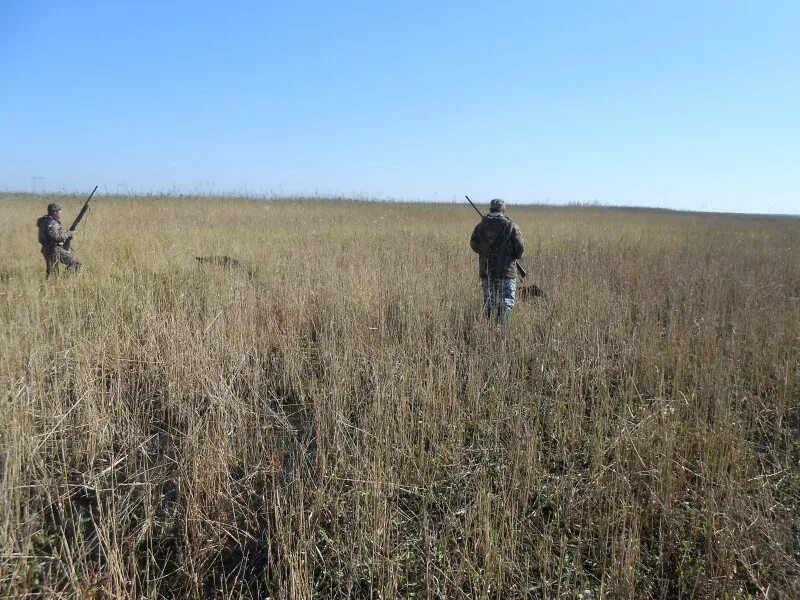 охотник с арбалетом. 35 мм егерь. охота с клонами. охота на перепела с ирландцем. охотник и кабаны в лесу.