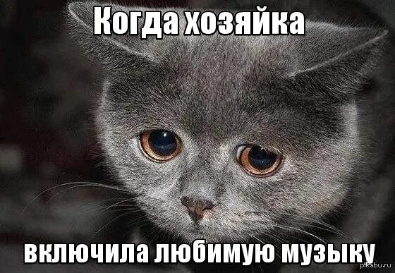 На что обижаются девушки мем Ты обиделась прикольные картинки (37 фото) *