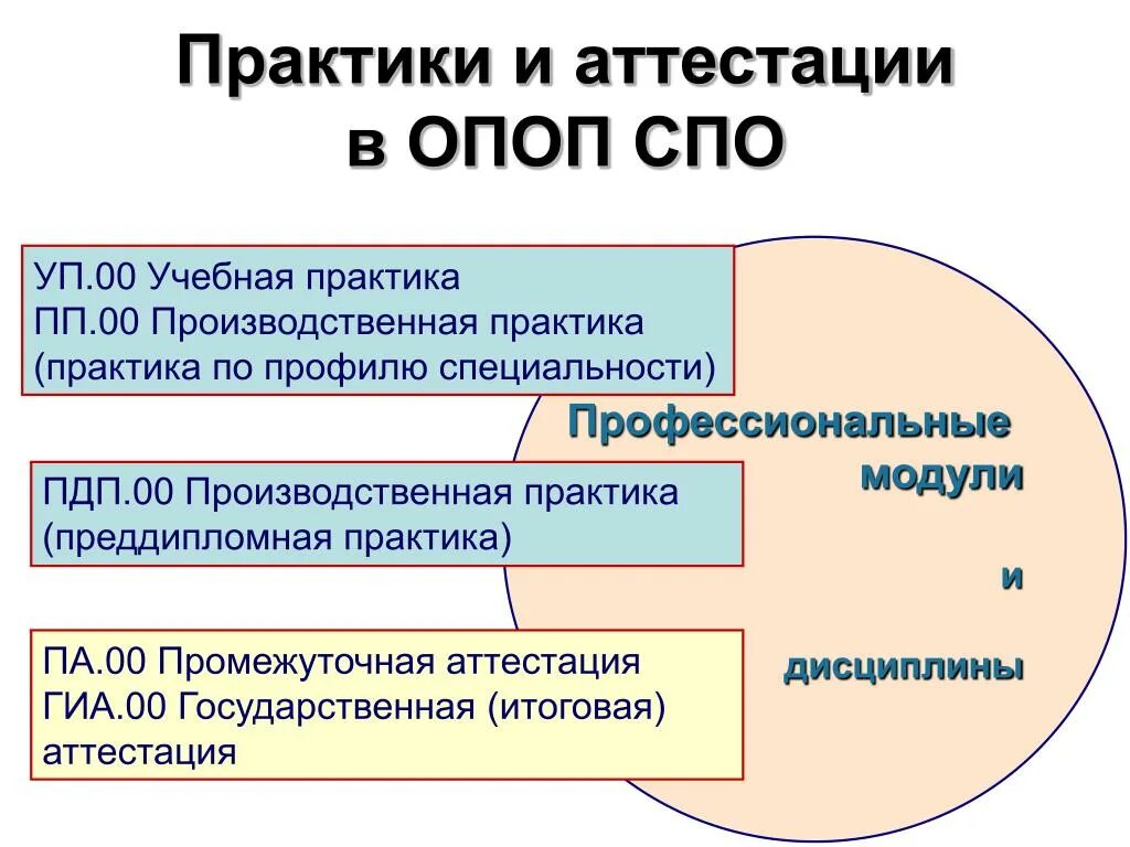 Производственная практика СПО. ОПОП СПО. Структура ОПОП СПО. Аттестация СПО что это.