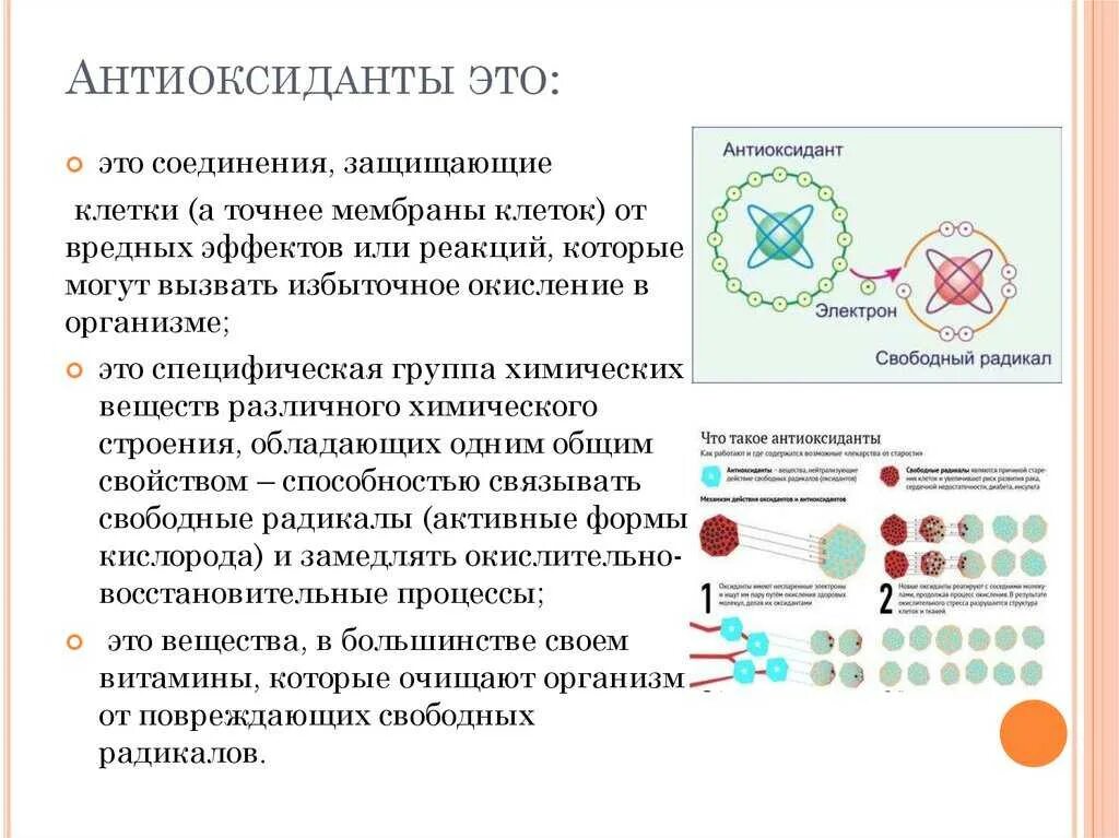 Антиоксидантное средство что это