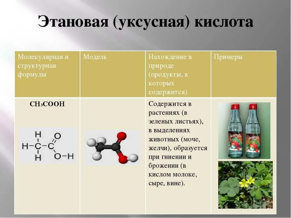 Уксусная кислота класс соединений