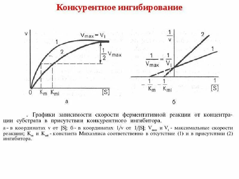 Конкурентное ингибирование ферментативной реакции. Конкурентное ингибирование ферментов график. график лайнуивера-берка для конкурентного ингибирования. бесконкурентное ингибирование графики. типы ингибирования графики.