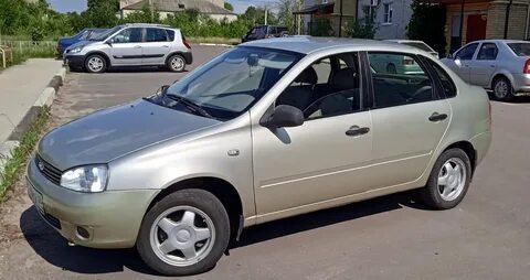502 дыня
