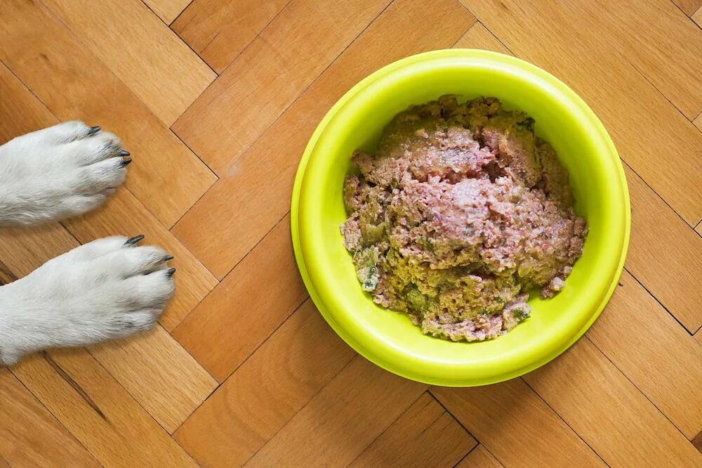 Влажный сухой корм для собак. Натуральное питание для собак. Еда для домашних животных. Натуральная еда для собак. Собачий корм в миске.