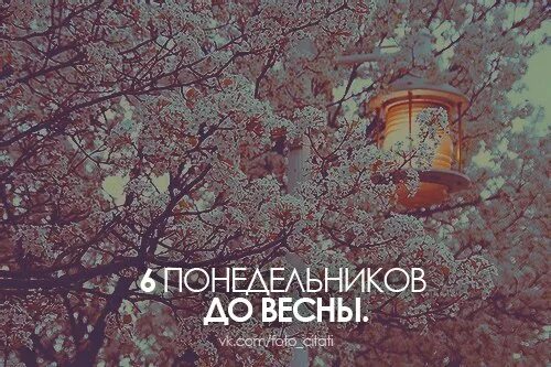 До весны осталось 6 понедельников. Six monday. God monday группа. Close to monday группа. Ss501 2005.