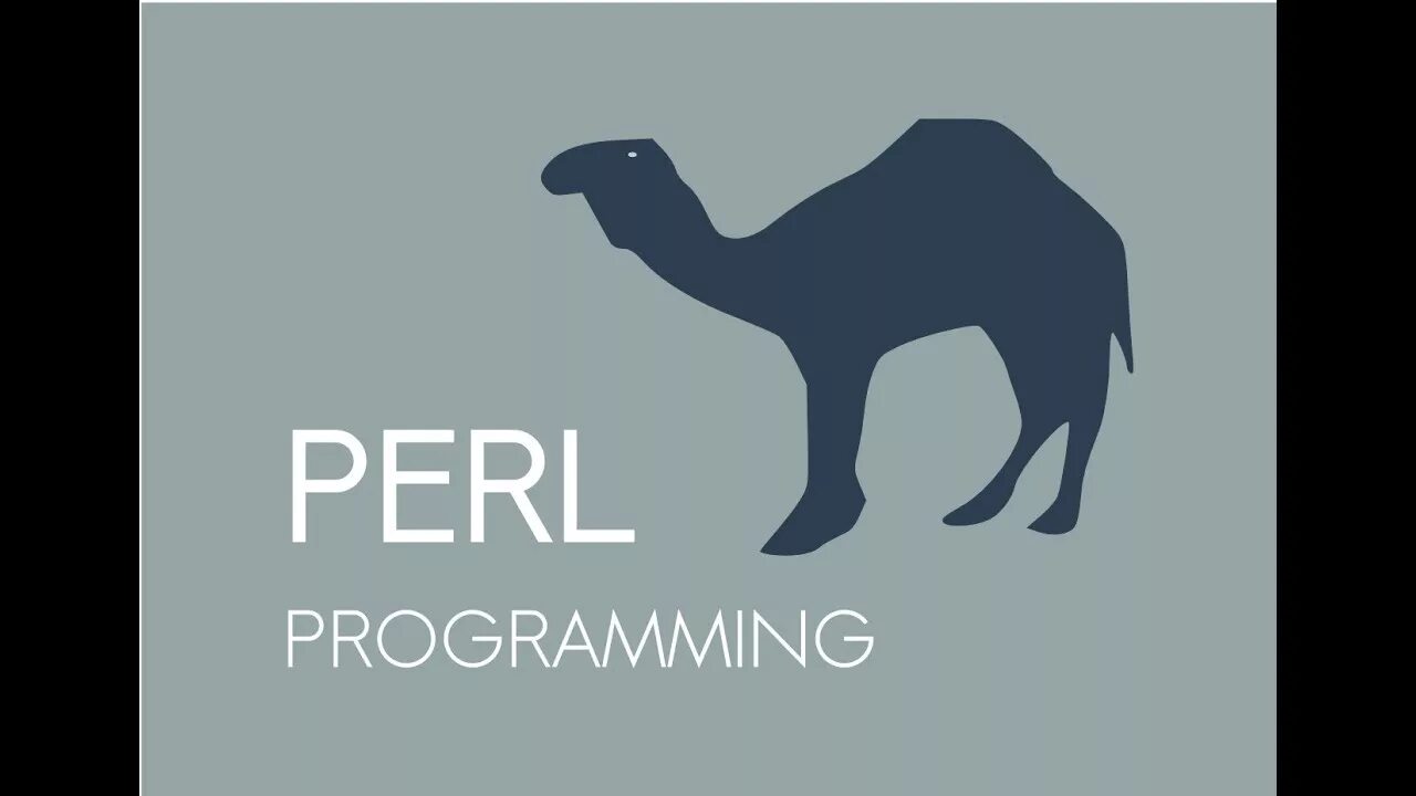 Perl use. Perl логотип. perl язык программирования. perl logo язык программирования. перл язык программирования логотип.