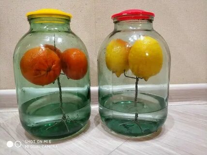 Висельник рецепты приготовления