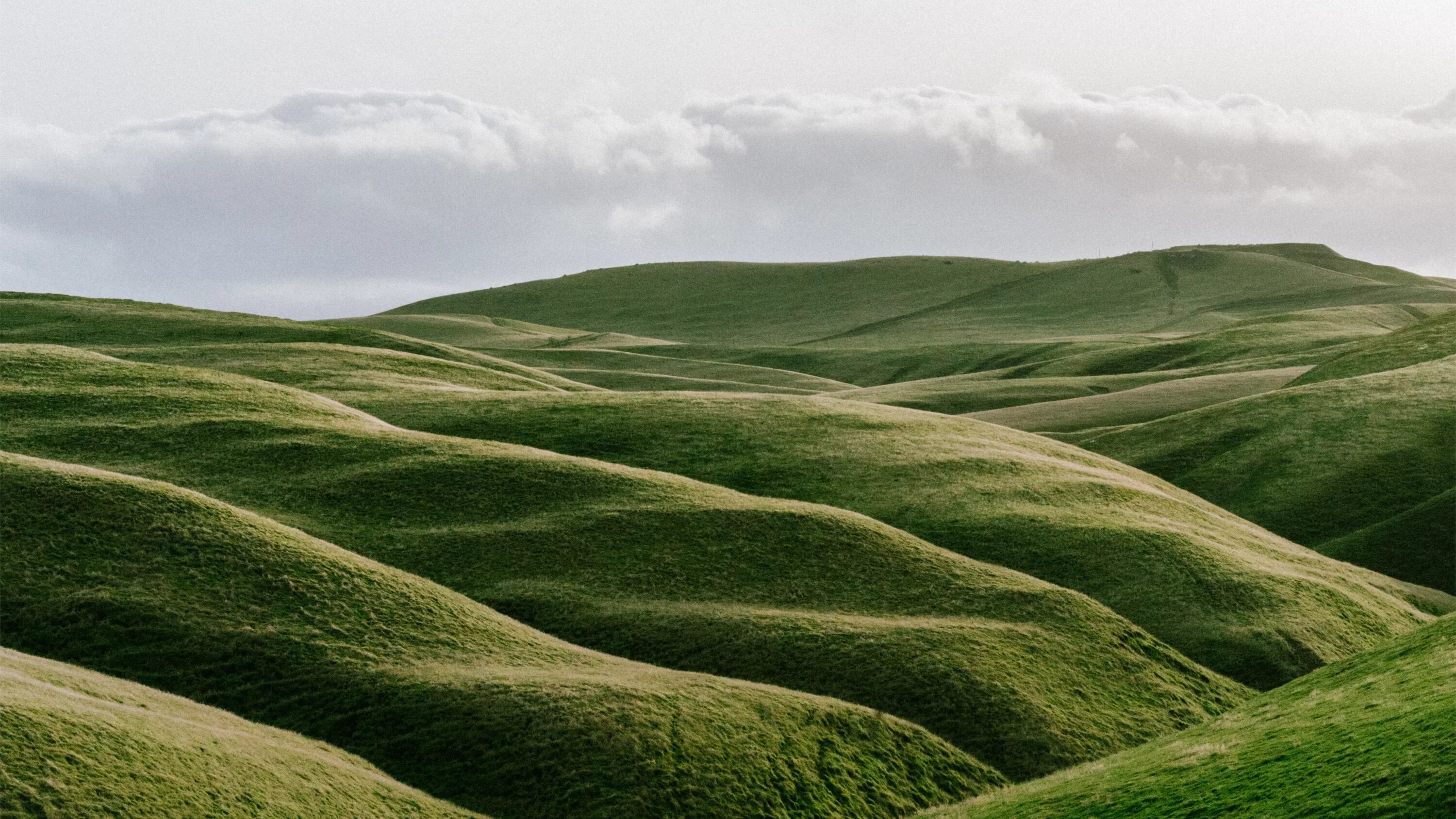 Green hills зеленые холмы ирландии. Зеленые холмы 212525. Одинокое дерево на холме. Горизонт холмы. Зеленые холмы 212525.