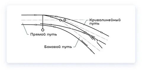 Кривые и прямые пути