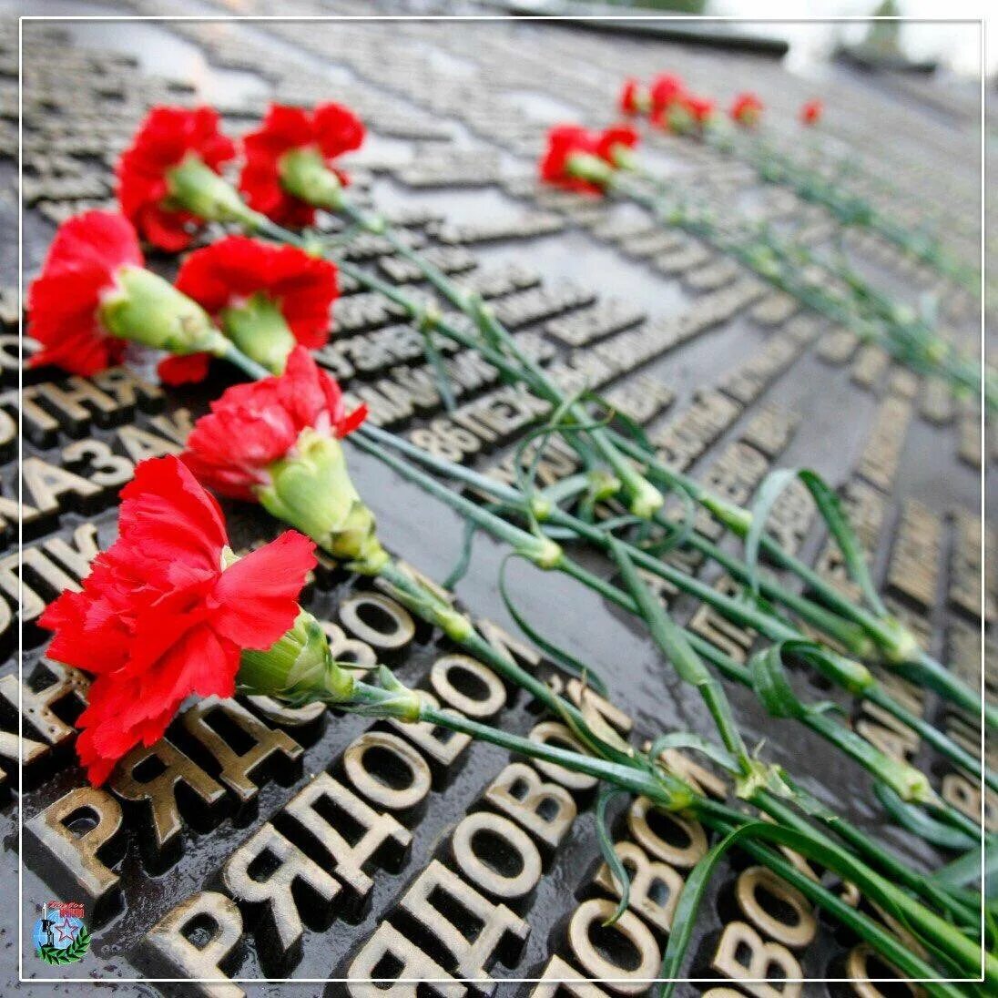День памяти жертв второй мировой. Цветы памяти. Память о войне. Гвоздики на мемориале.