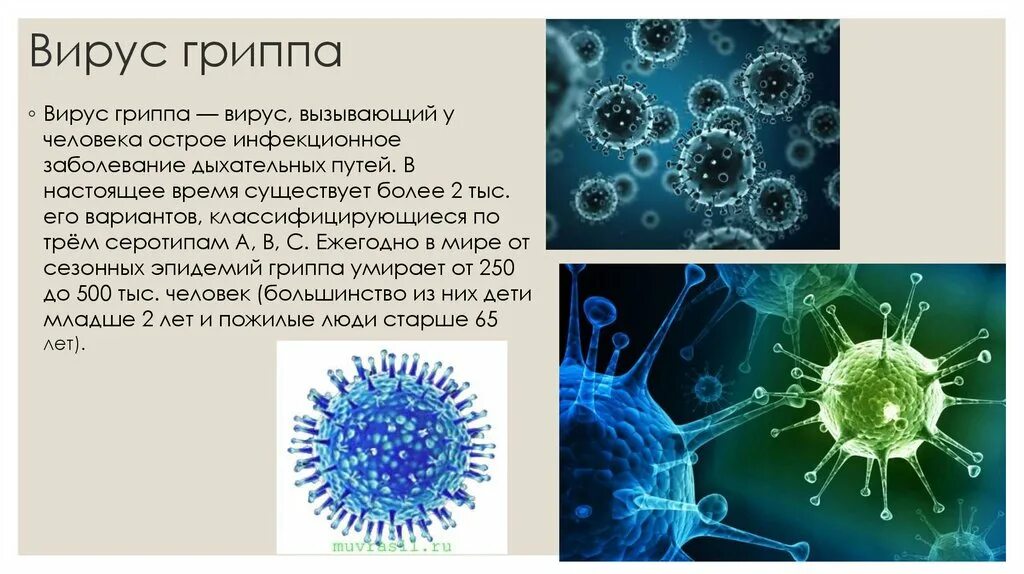 Вирус гриппа 5 класс биология. Вирусы по биологии 5 класс. Вирус гриппа сообщение по биологии 5 класс. Информация о вирусах 5 класс биология. Описать вирусные заболевания