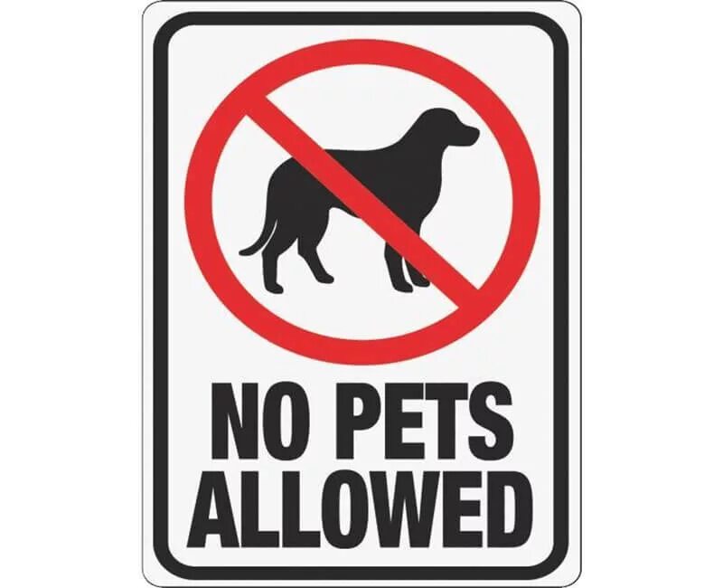 No Pets. Значок don't Pet. No Pets sign. Pets are not allowed.