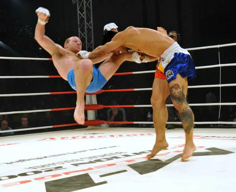 Смешанные единоборства юфси ммп. Как называется бои без. Как называется бои без. Смешанные боевые единоборства мма. Лоу кик.