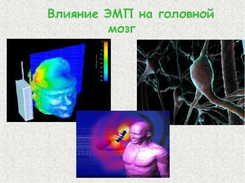 Влияние радиоволн на живые организмы. Влияние радиоволн на живые организмы. Воздействие эмп на живые организмы. Радиоволны биологическое воздействие. Воздействие эми на организм человека.