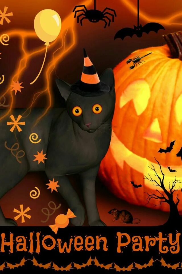 аватарку хэллоуин. аватарку хэллоуин. аватарку хэллоуин. аниме тыква на голове. кот в тыкве ава.